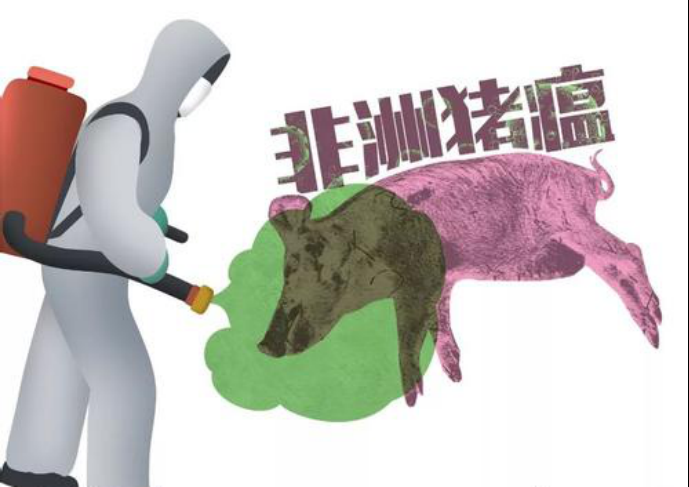 非瘟日常防控三要點：外防、內(nèi)控和提免