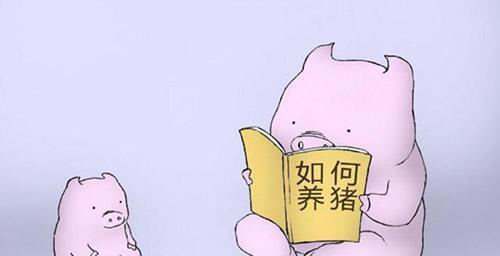 給豬用藥的幾大誤區(qū)！