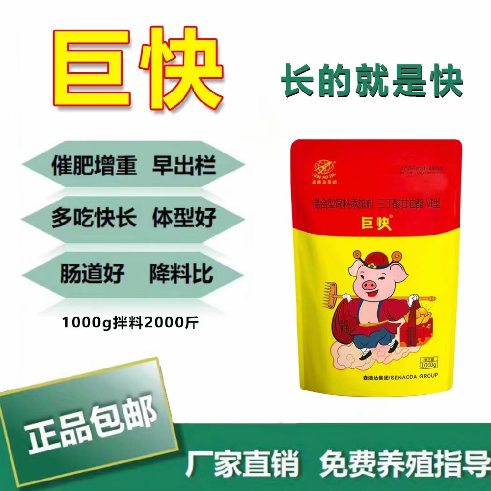 生豬如何高效催肥？
